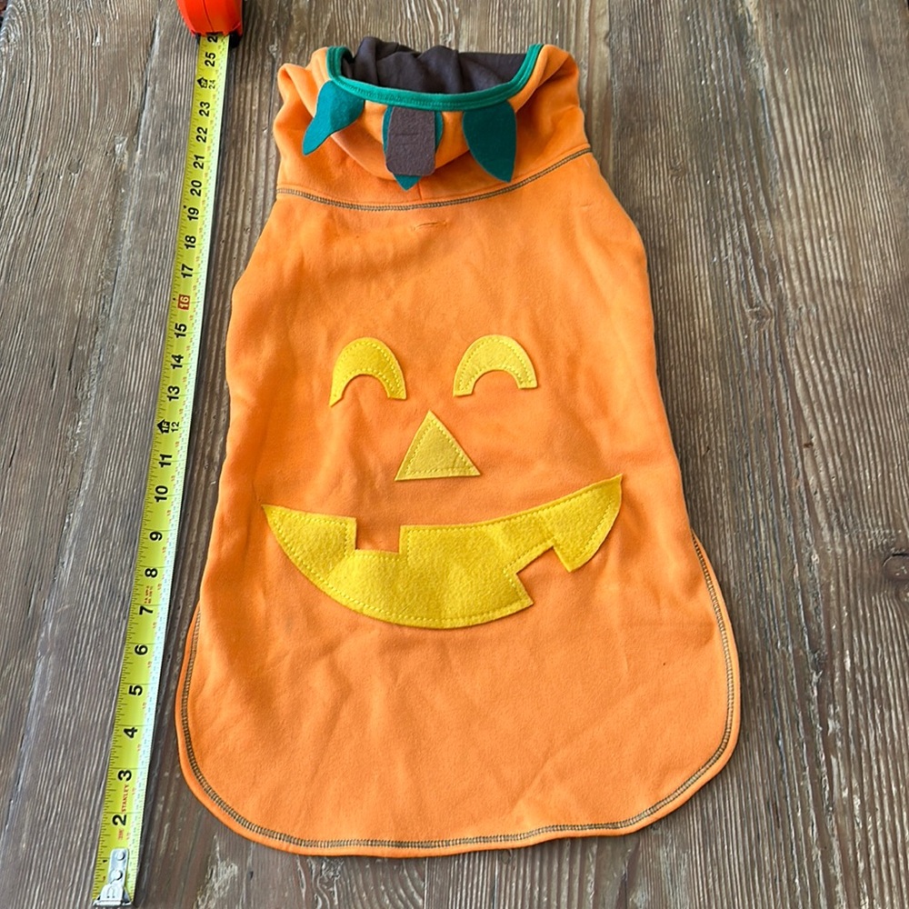 Dog Pumpkin Costume - large / x large from target